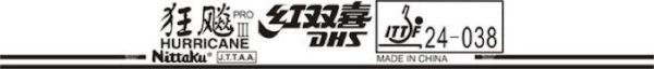 Double Happiness / DHS Nittaku Hurricane Pro III