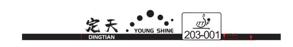 Young Shine Dingtian