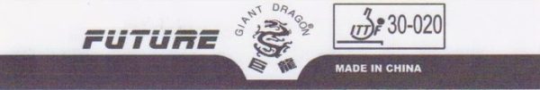 Giant Dragon Future