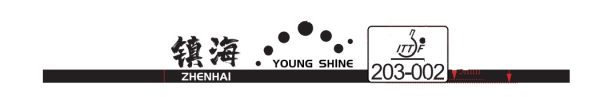 Young Shine Zhenhai