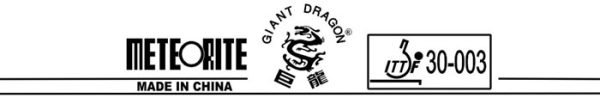 Giant Dragon Meteorite