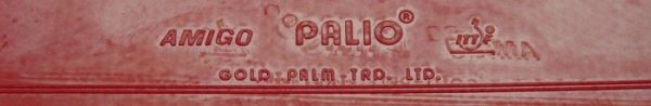 Palio Amigo