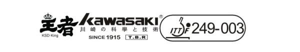 Kawasaki KSD-King