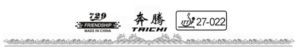 Friendship 729 Taichi