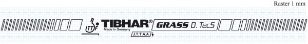 Tibhar Grass D. TecS